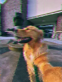 stopmotion