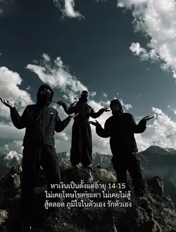 ฟีด
