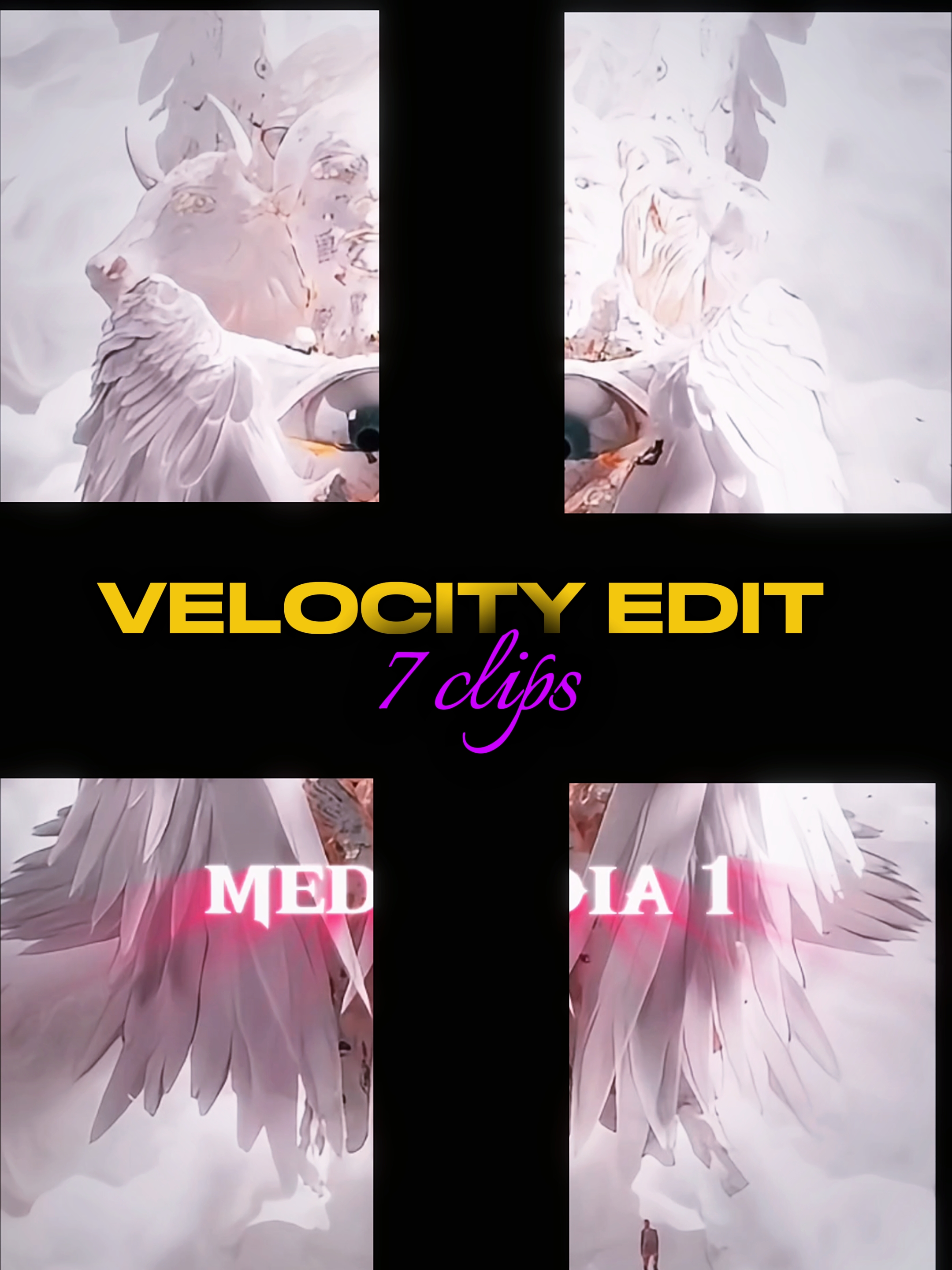 VELOCITYI EDIT