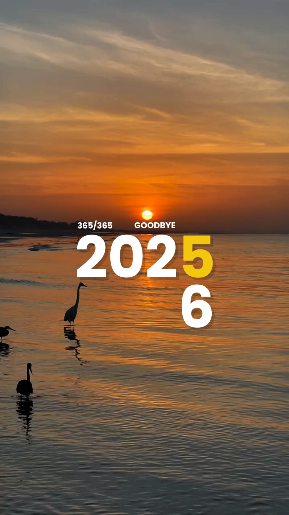 Bienvenue 2026