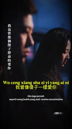 我曾像傻子一樣愛你