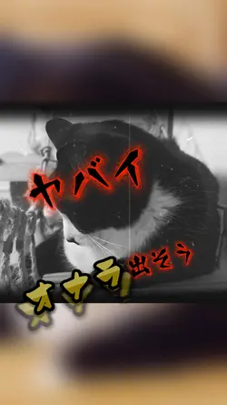 ねこちゃんが緊急事態
