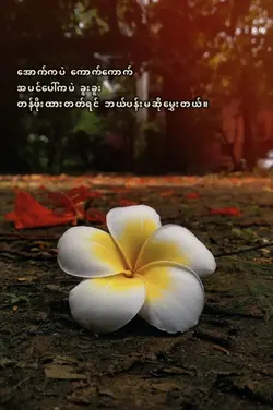 တန်ဖိုးထားကြပါ