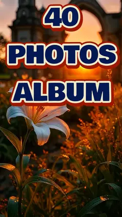 40 Photos Album