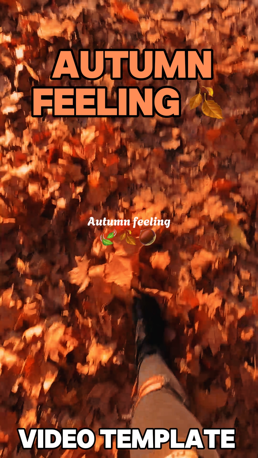 Autumn feeling 