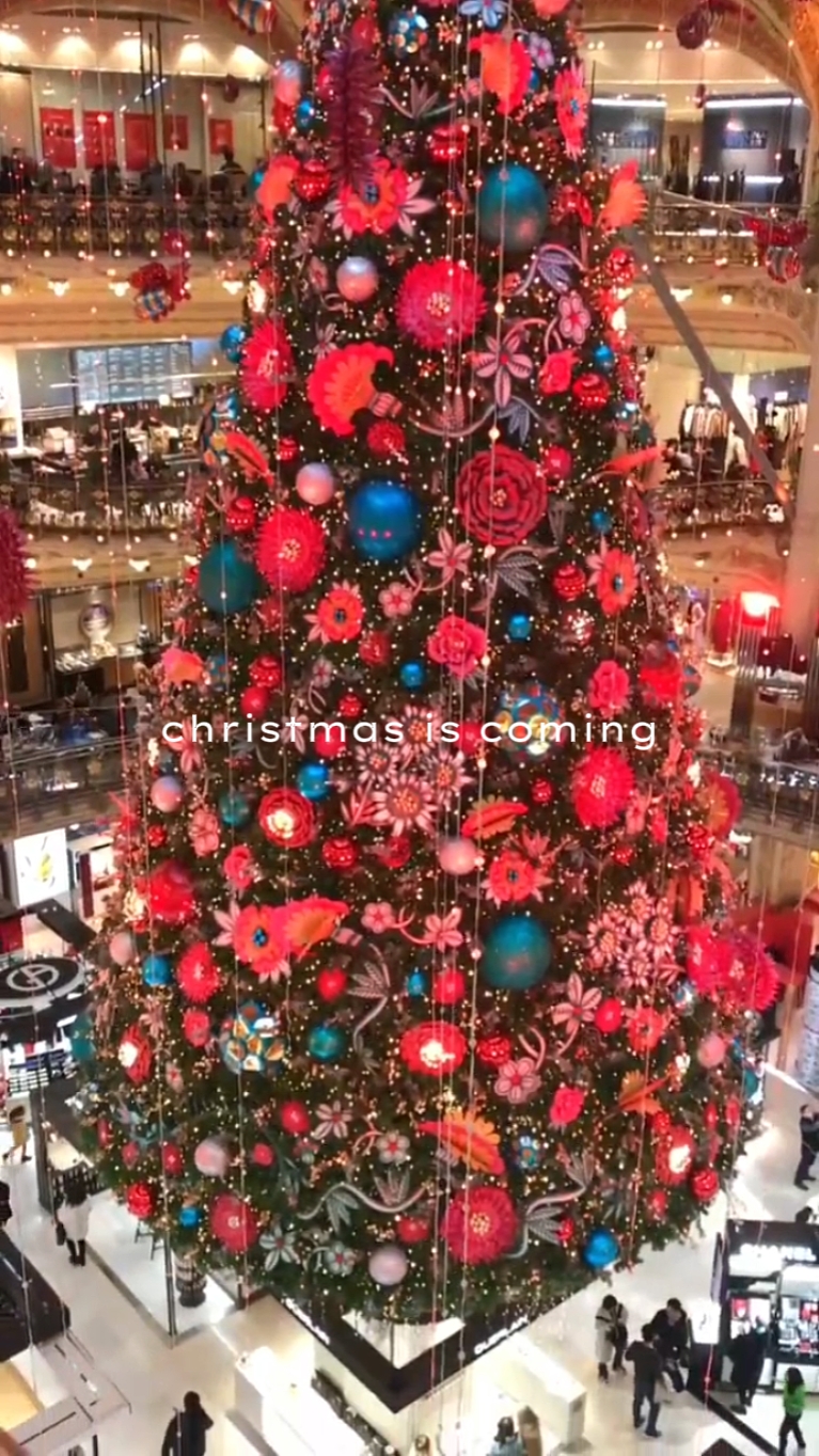 Navidad