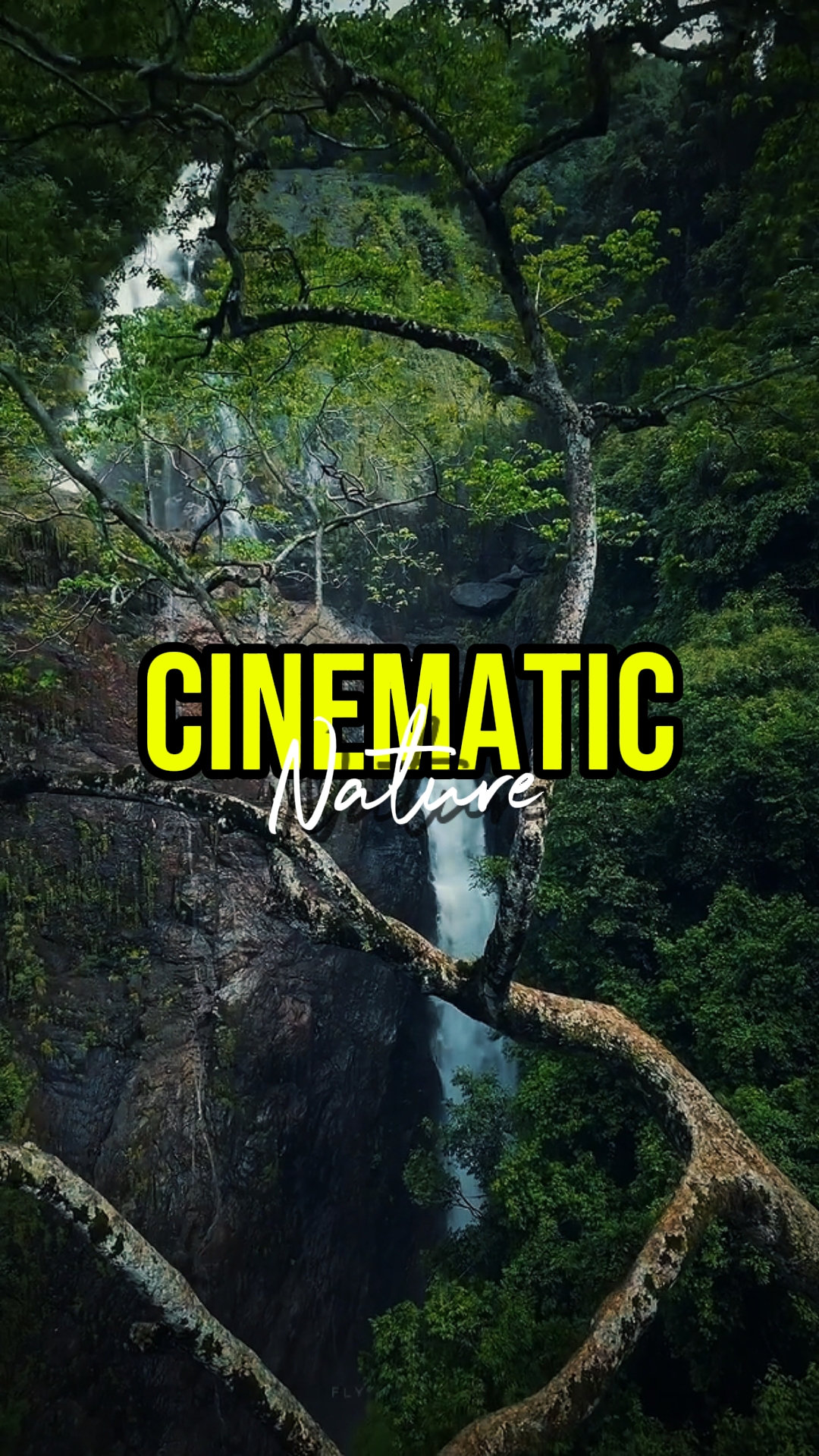 CINEMATIC NATURE