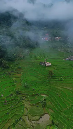 Cinematic Drone