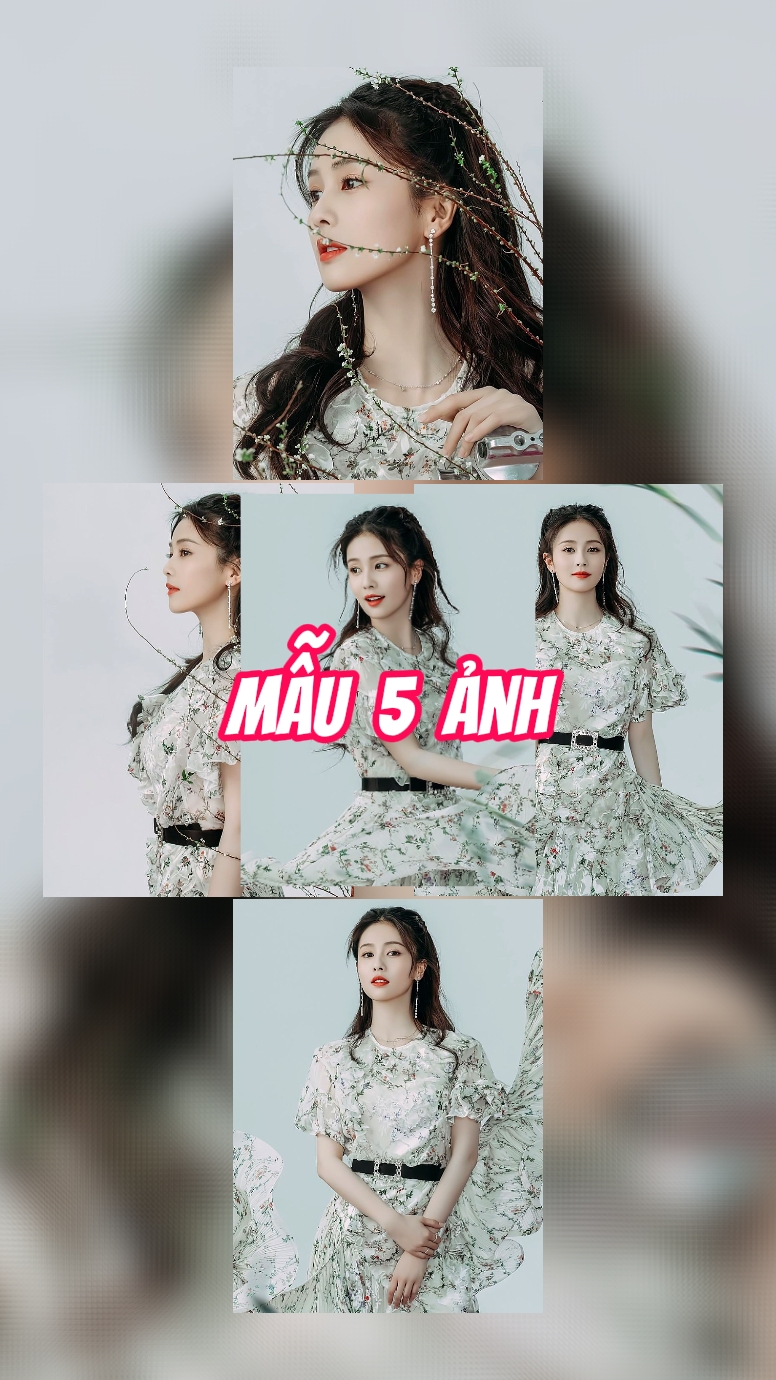 Mẫu 5 Ảnh