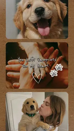 Paw on my heart