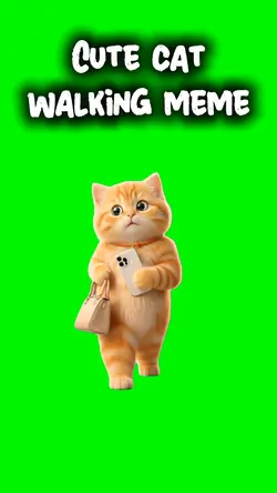 CUTE CAT WALKING