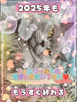 フォロワー様へご挨拶/9clip