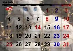 calendrier mai 2026