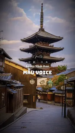 Mẫu voice