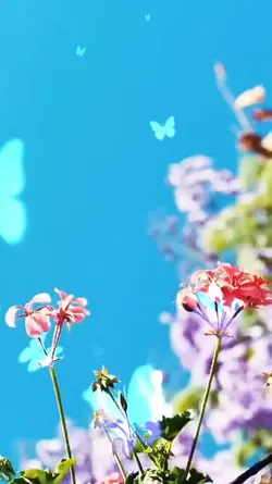 Flowers velocity