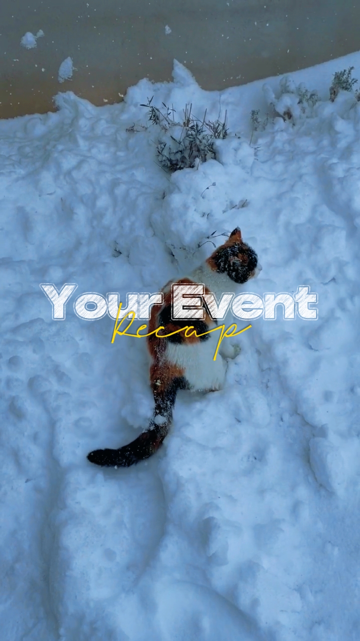 RESUMEN DE TU EVENTO