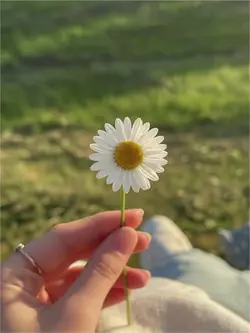 Bazen sadece bir anı yaşamak istiyorsun, değil mi?