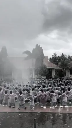 perang telah usai