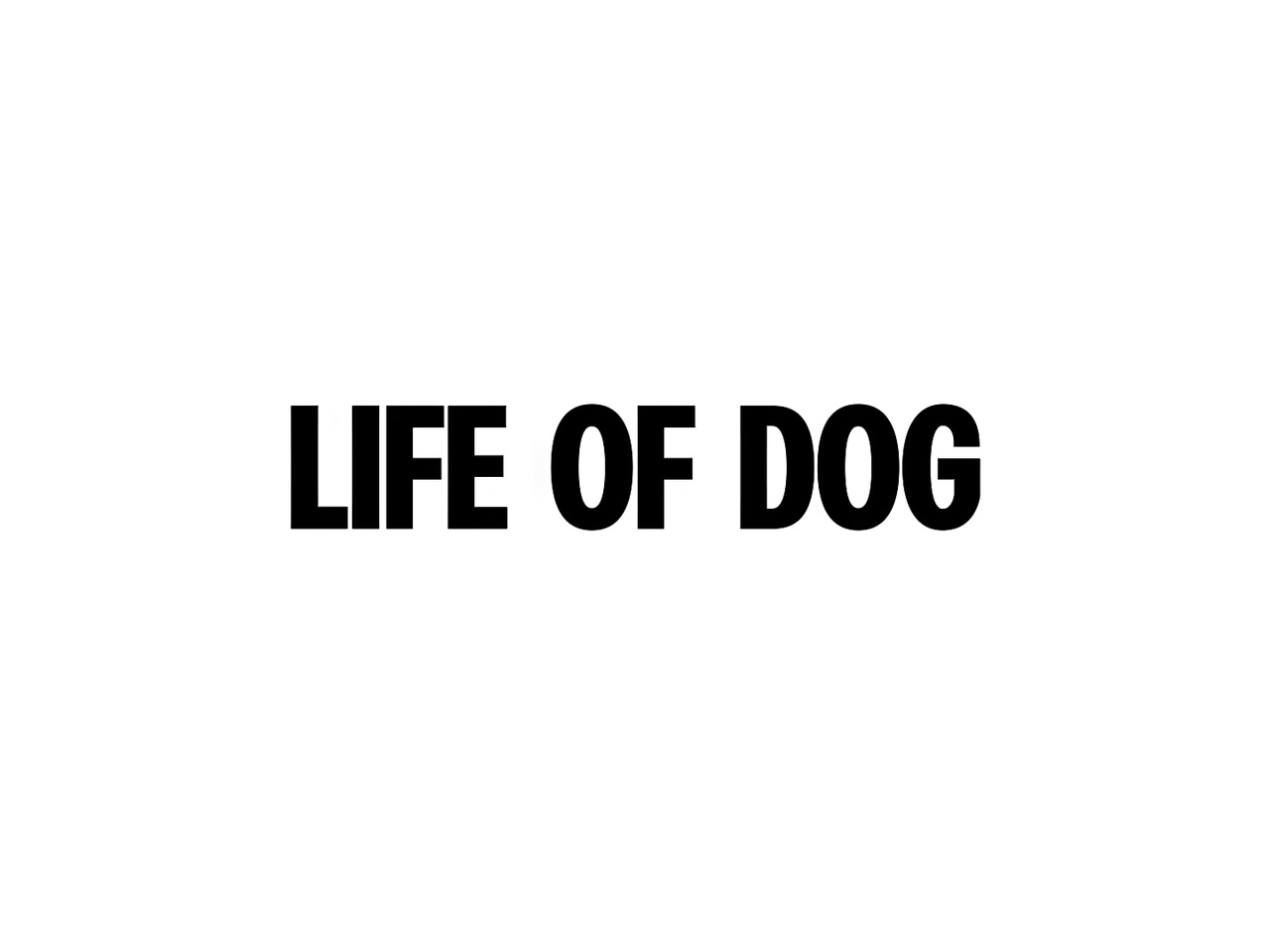 Life of dog 