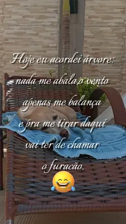 Hoje Acordei Árvore
