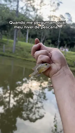 Nível de pescaria