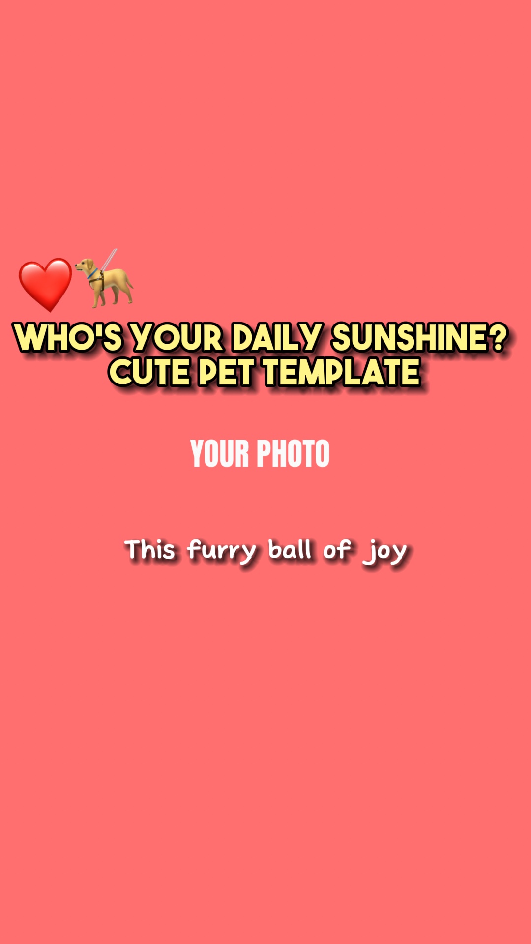Daily sunshine❤️🦮
