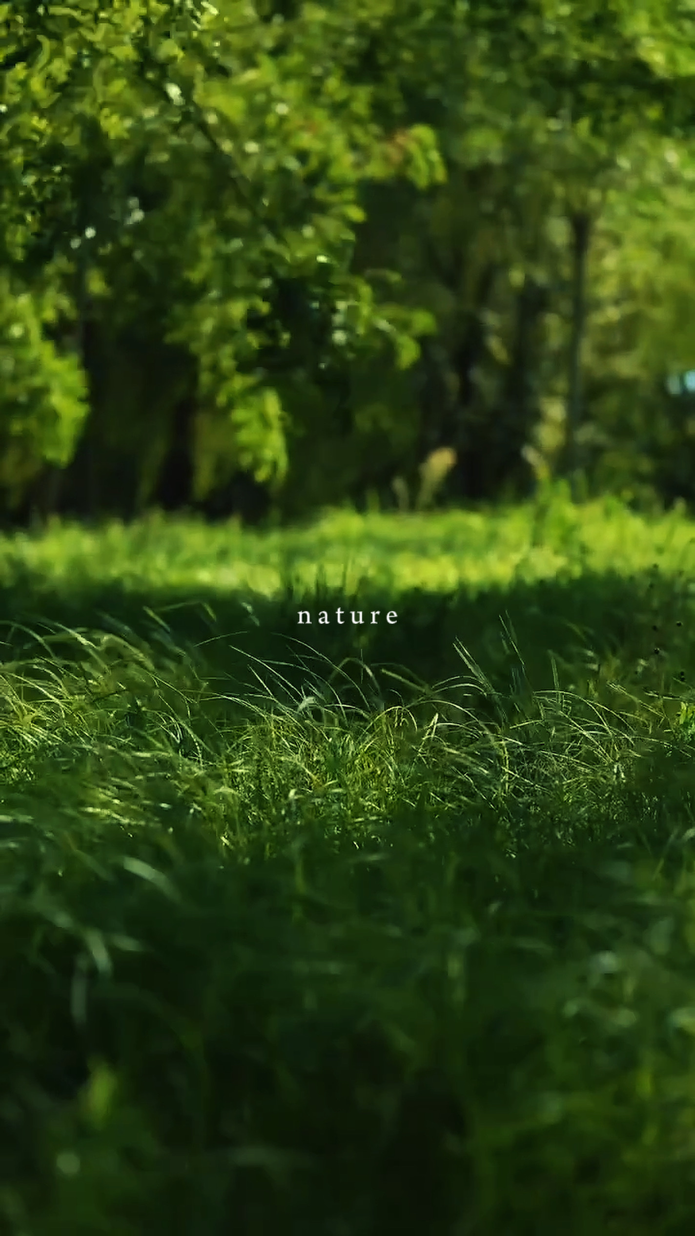 Nature