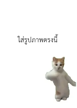 แมวเต้น