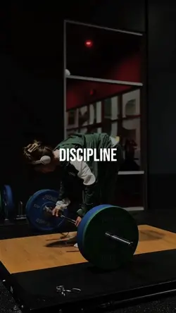 Discipline 