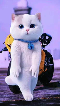 JJ