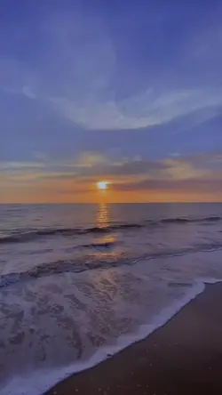 Mẫu 1 ảnh