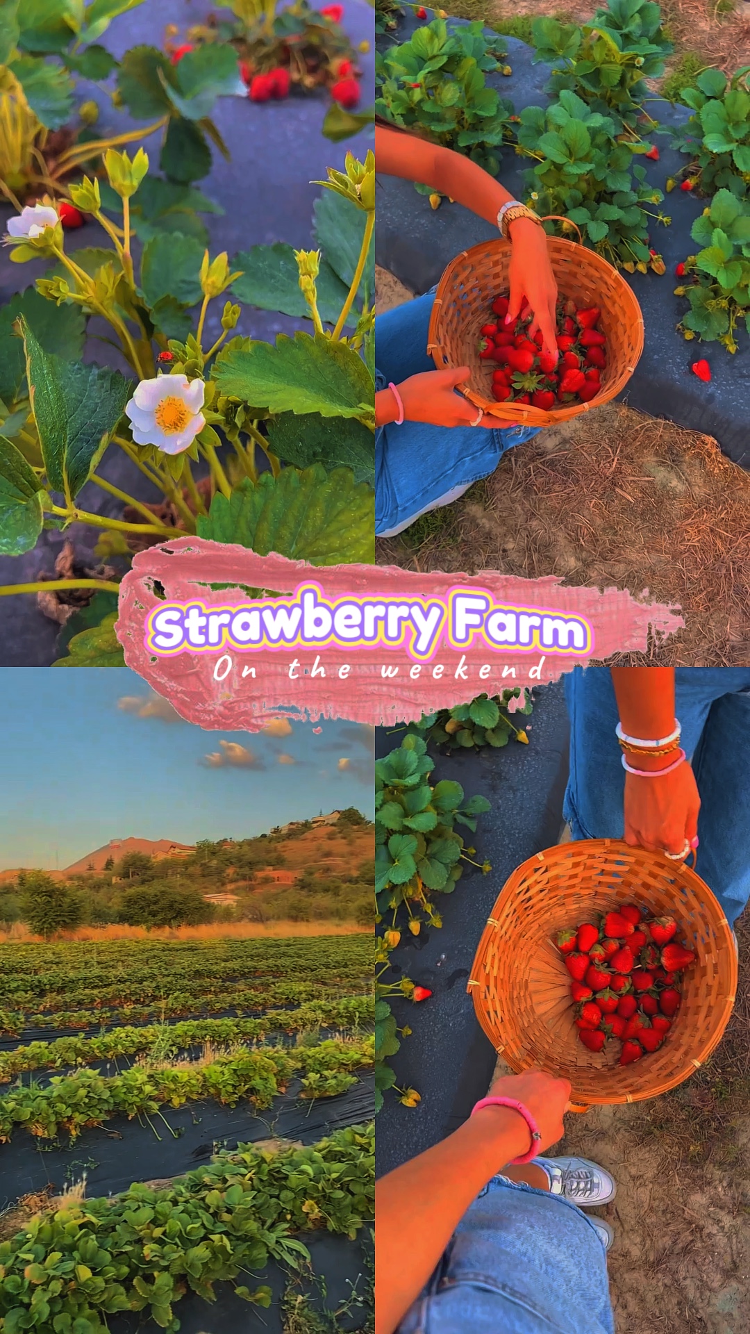 Granja de fresas