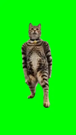 AI Cat Dancing