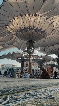 qolbi fi madinah