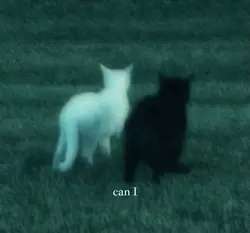 call it fate