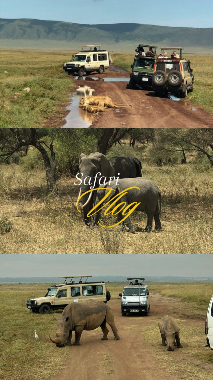 safari vlog