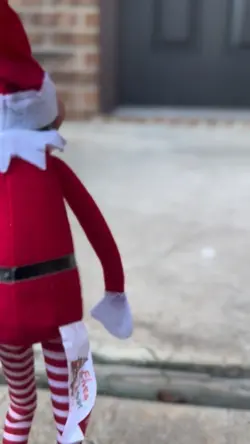 Elf on the shelf 