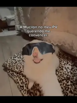 @_Davi_ck
