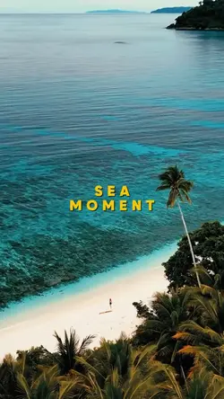 Sea Moment