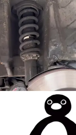 Noot Noot ๐ง