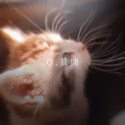 ぬこさま