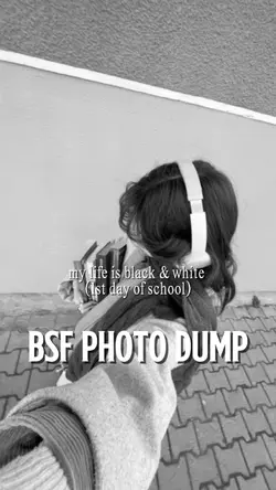 BSF Photodump