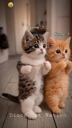 Your names are thin
