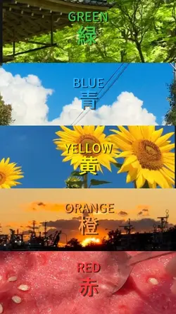 夏に色を添える📷🧩✨