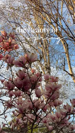 Speing season🌷🌿