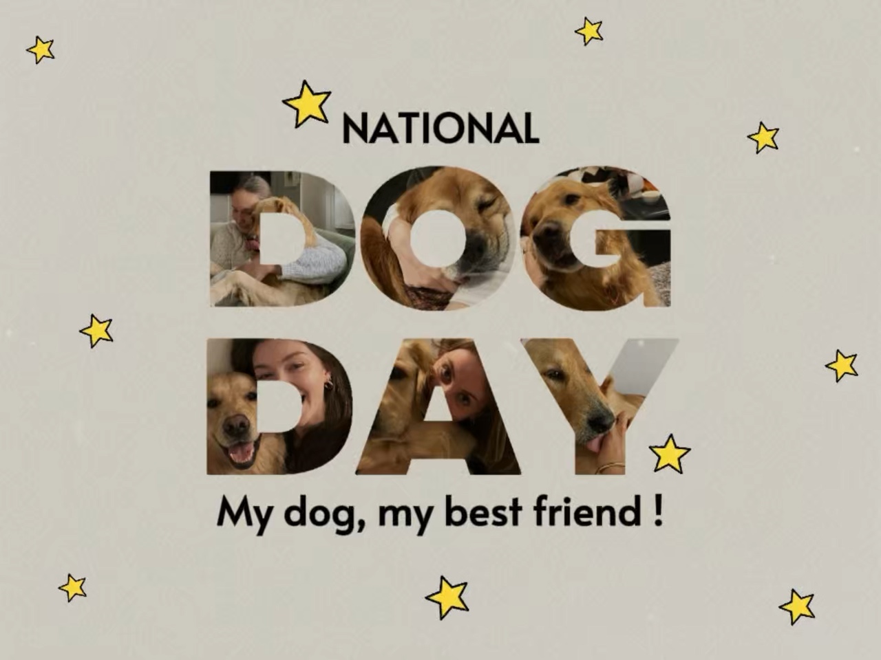 Día nacional del perro