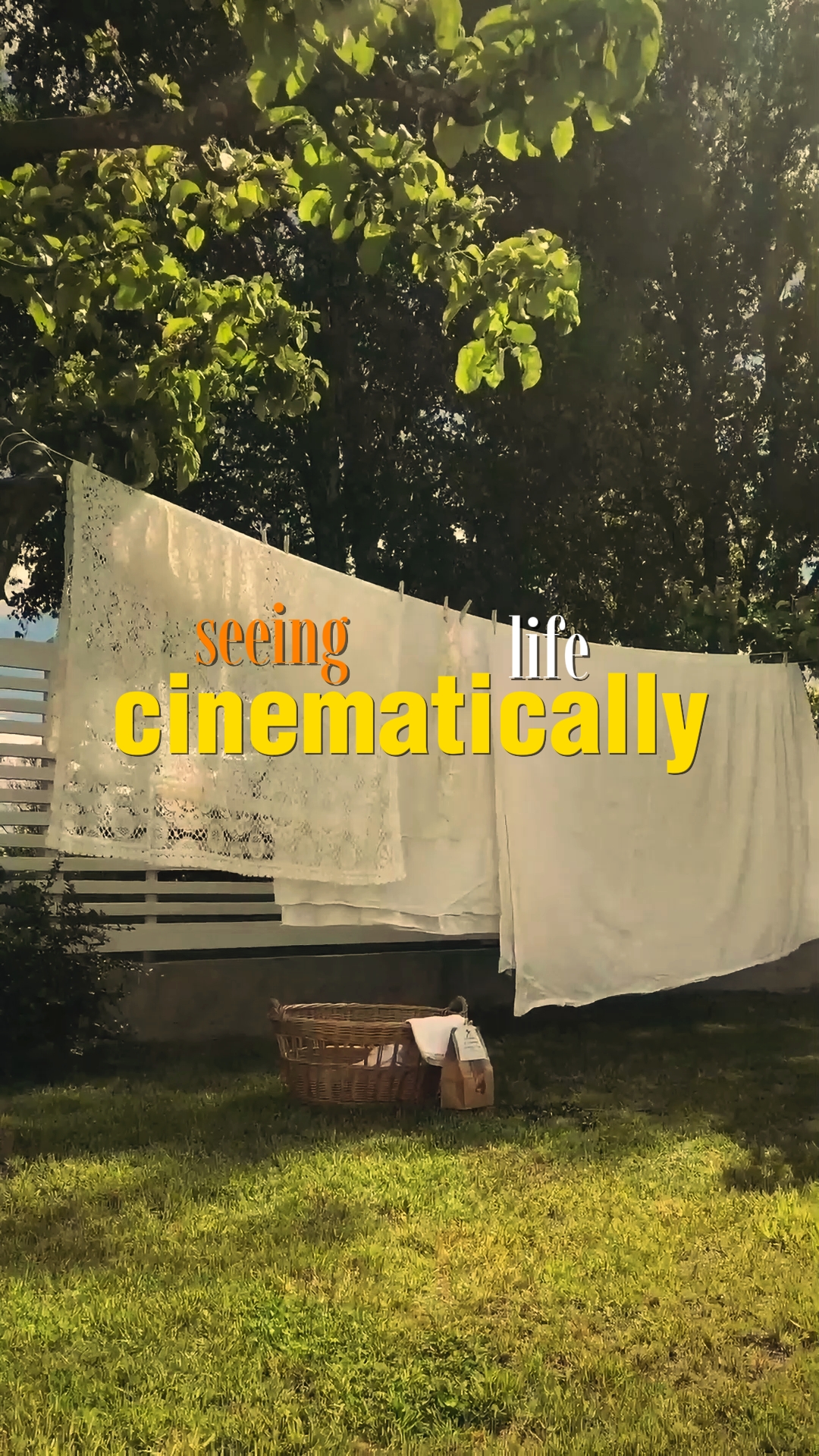 tendance cinématographique 
