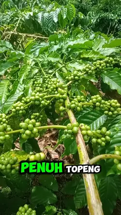 penuh topeng