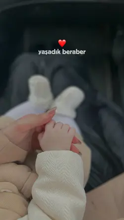 Güzel şablon