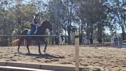 why can't I look ok.